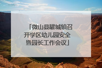 微山县驩城镇召开学区幼儿园安全暨园长工作会议