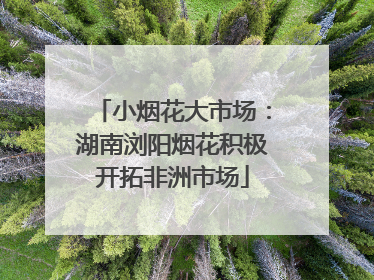 小烟花大市场：湖南浏阳烟花积极开拓非洲市场