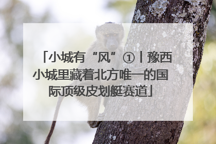 小城有“风”①丨豫西小城里藏着北方唯一的国际顶级皮划艇赛道