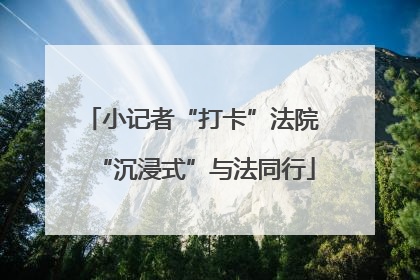 小记者“打卡”法院 “沉浸式”与法同行