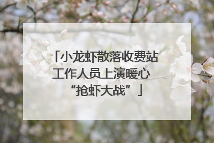 小龙虾散落收费站 工作人员上演暖心“抢虾大战”