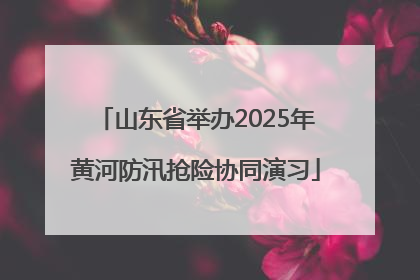 山东省举办2025年黄河防汛抢险协同演习