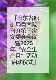 山东省地矿局鲁南院召开第三次安委会会议暨2025年“安全生产月”活动启动仪式
