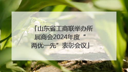 山东省工商联举办所属商会2024年度“两优一先”表彰会议