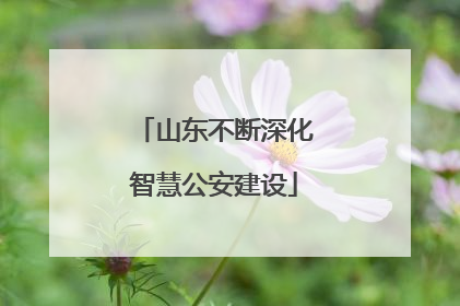 山东不断深化智慧公安建设