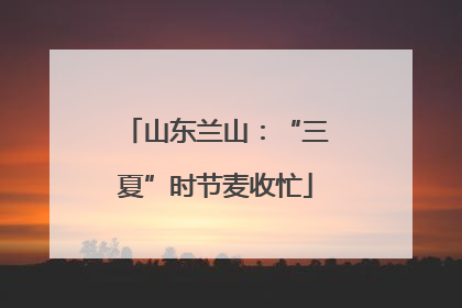 山东兰山：“三夏”时节麦收忙