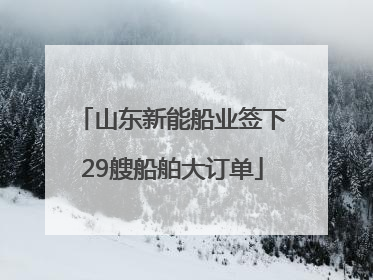 山东新能船业签下29艘船舶大订单