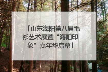 山东海阳第八届毛衫艺术展暨“海阳印象”嘉年华启幕