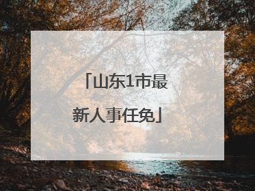 山东1市最新人事任免