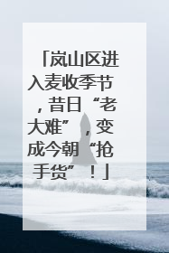岚山区进入麦收季节，昔日“老大难”，变成今朝“抢手货”！