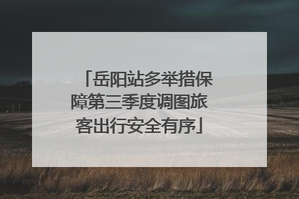 岳阳站多举措保障第三季度调图旅客出行安全有序