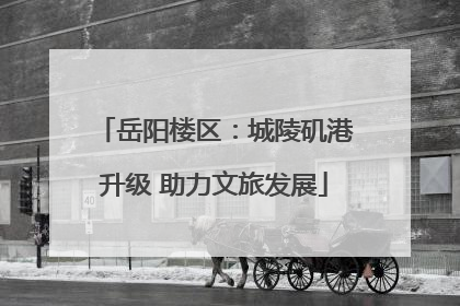 岳阳楼区：城陵矶港升级 助力文旅发展