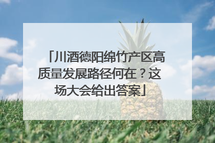 川酒德阳绵竹产区高质量发展路径何在？这场大会给出答案