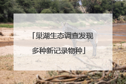 巢湖生态调查发现多种新记录物种