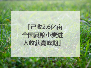 已收2.6亿亩 全国夏粮小麦进入收获高峰期