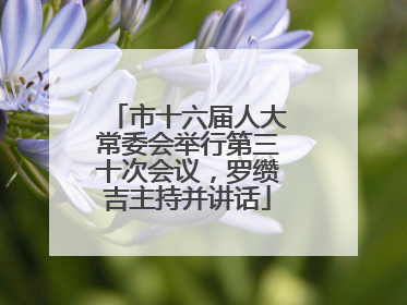 市十六届人大常委会举行第三十次会议，罗缵吉主持并讲话