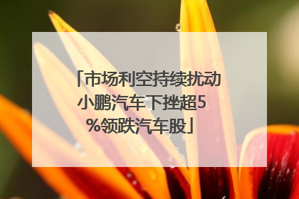 市场利空持续扰动 小鹏汽车下挫超5%领跌汽车股