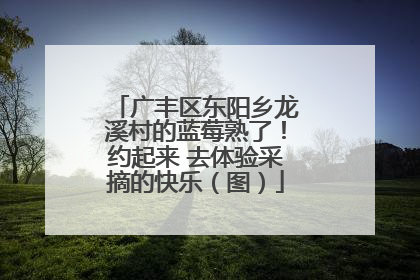广丰区东阳乡龙溪村的蓝莓熟了！约起来 去体验采摘的快乐（图）