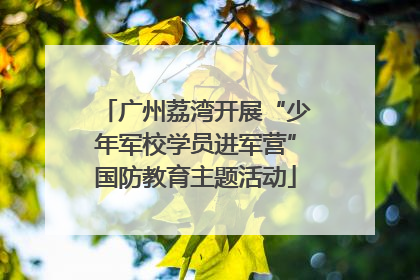 广州荔湾开展“少年军校学员进军营”国防教育主题活动