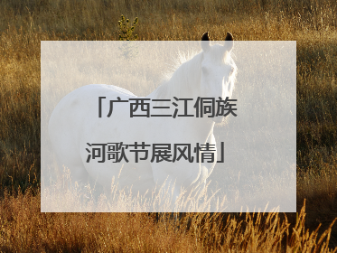广西三江侗族河歌节展风情
