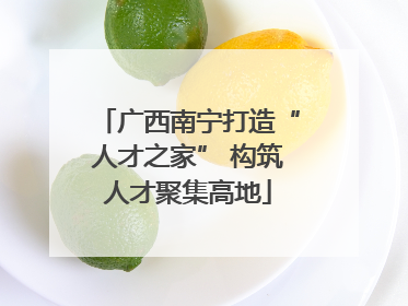 广西南宁打造“人才之家” 构筑人才聚集高地
