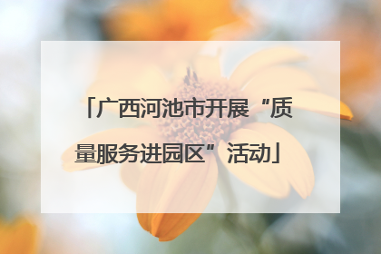 广西河池市开展“质量服务进园区”活动