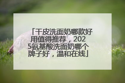 干皮洗面奶哪款好用值得推荐，2025氨基酸洗面奶哪个牌子好，温和在线