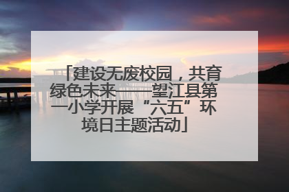 建设无废校园，共育绿色未来——望江县第一小学开展“六五”环境日主题活动