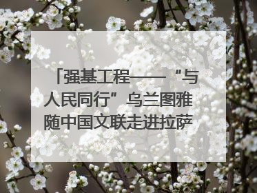 强基工程——“与人民同行”乌兰图雅随中国文联走进拉萨 庆祝西藏自治区成立60周年