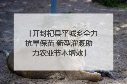 开封杞县平城乡全力抗旱保苗 新型灌溉助力农业节本增效