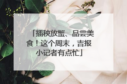 插秧放蟹、品尝美食！这个周末，吉报小记者有点忙