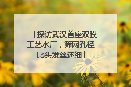 探访武汉首座双膜工艺水厂，筛网孔径比头发丝还细