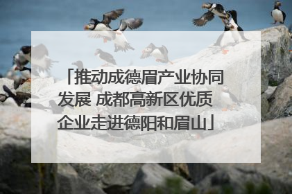 推动成德眉产业协同发展 成都高新区优质企业走进德阳和眉山