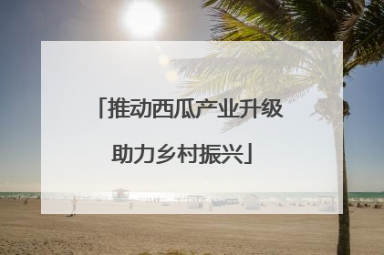 推动西瓜产业升级 助力乡村振兴