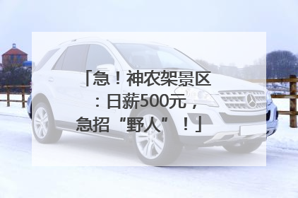 急！神农架景区：日薪500元，急招“野人”！