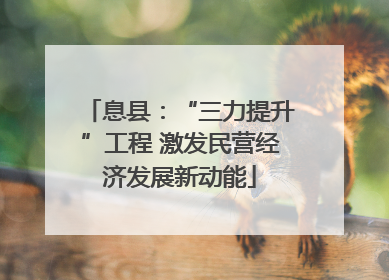 息县：“三力提升”工程 激发民营经济发展新动能