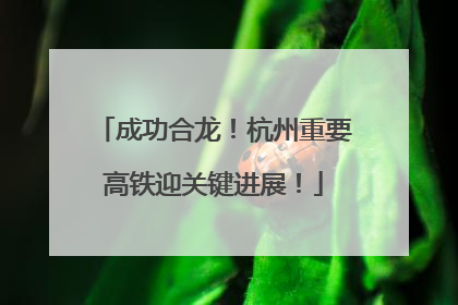 成功合龙！杭州重要高铁迎关键进展！