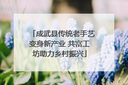 成武县传统老手艺变身新产业 共富工坊助力乡村振兴