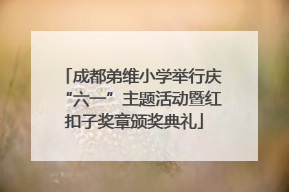 成都弟维小学举行庆“六一”主题活动暨红扣子奖章颁奖典礼