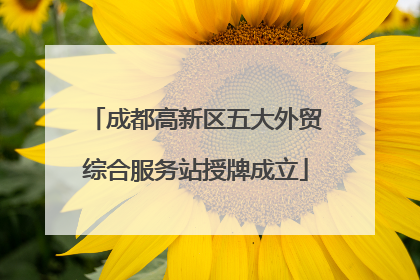 成都高新区五大外贸综合服务站授牌成立
