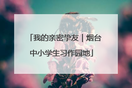 我的亲密挚友｜烟台中小学生习作园地