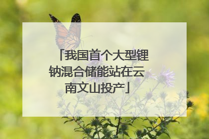 我国首个大型锂钠混合储能站在云南文山投产
