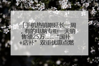 手机热销期延长一周，有的电脑专柜一天销售额25万……“国补+店补”双重优惠点燃德州“考后经济”