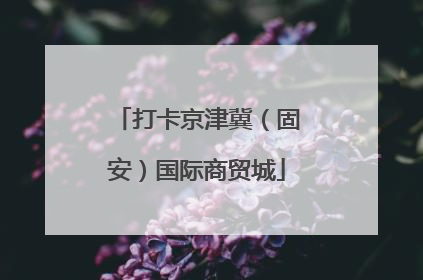 打卡京津冀（固安）国际商贸城