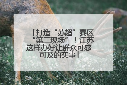 打造“苏超”赛区“第二现场”！江苏这样办好让群众可感可及的实事