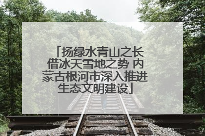 扬绿水青山之长 借冰天雪地之势 内蒙古根河市深入推进生态文明建设