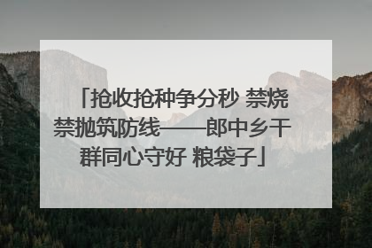 抢收抢种争分秒 禁烧禁抛筑防线——郎中乡干群同心守好 粮袋子