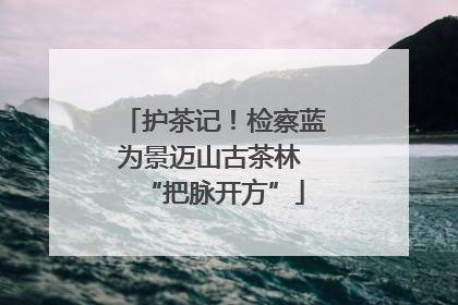 护茶记！检察蓝为景迈山古茶林 “把脉开方”