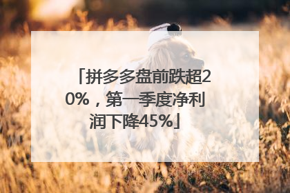 拼多多盘前跌超20%，第一季度净利润下降45%