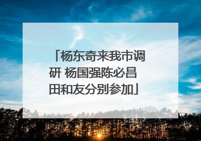 杨东奇来我市调研 杨国强陈必昌田和友分别参加